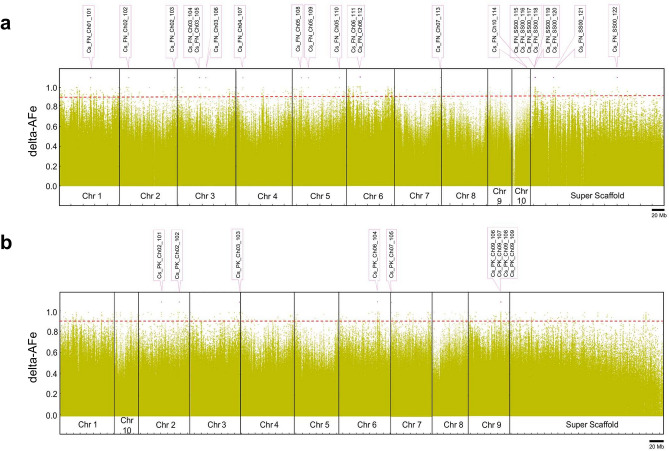 Delta-AFe between chemotypic pools and interval detection. (a) Delta-AFe plotted by chromosome number and coordinate along the Cannabis sativa L. var. Finola (FN) genome. Delta-AFe is the absolute difference between allele frequency estimates of CBDA and THCVA DNA pools. (b) Delta-AFe plotted by chromosome number and coordinate along the Cannabis sativa L. var. Purple Kush (PK) genome. Intervals displaying delta-AFe values of ≥ 0.9 were delineated using an algorithm which plots contiguous AFe values ≤ 0.1 in the CBDA pool (see “Methods”). To reduce background noise, only delta-AFe supported by 0.75–2.5 × the average depth of coverage was plotted. Pink lines indicate location of intervals. Red dotted line indicates delta-AFe of 0.9; AFe allele frequency estimates.