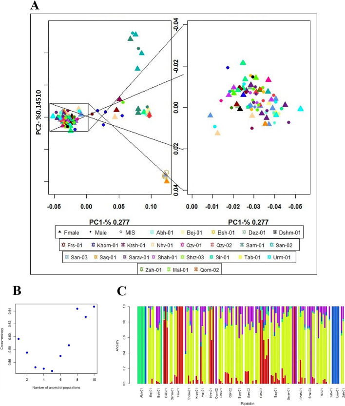 (A) Individual-based principal components analysis for Iranian regions using 23,266 SNPs, MIS represents the samples with unknown sex, triangle and circle represent female and male individuals respectively, (B) K values plot from K= 1 to K= 10 based on cross-validation error, and (C) Q estimates bar plot of studied populations in R (V4.3.1) at K = 5. Each vertical bar exemplifies a genotype