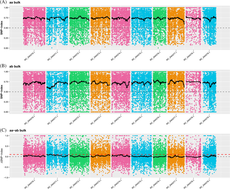 Distribution of SNP-index correlation values on chromosomes. The x-axis indicate chromosome name. Color dot represents the calculated SNPS—index (or Δ SNPS—index) values, the black line represents fitting SNP-index (or Δ SNPS—index) values. A SNP-index graphs of high fiber content mixed pool. B SNP-index graphs of low fiber content mixed pool. C Distribution diagram of ΔSNP-index value, of which the red dashed line represents the threshold line for the 99th percentile