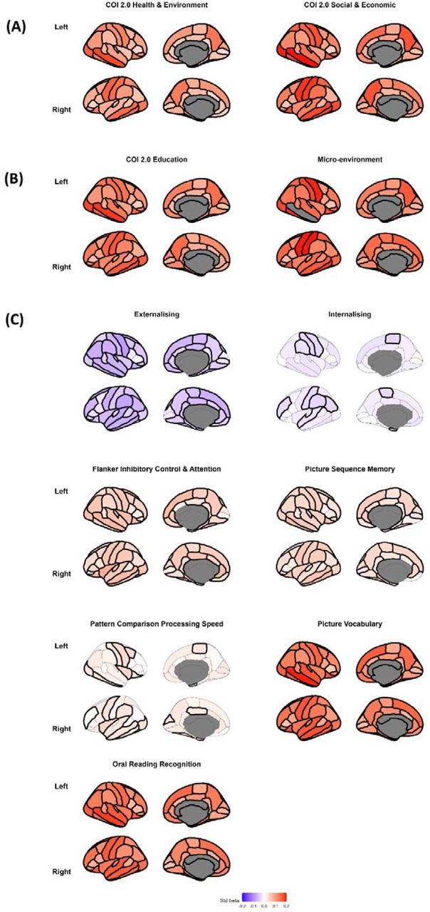 Baseline AssociationsNote. Brain plots depicting regional standardised beta coefficients for associations between(A) environmental factors and centile scores, (B) centile scores and mental health traits, and(C) centile scores and change scores on cognitive tasks. Regions are colour-coded according to the magnitude and direction of the standardised beta values. Statistically significant regions (pFDR < 0.05) are outlined. Details on the measures can be found in the Methods section.