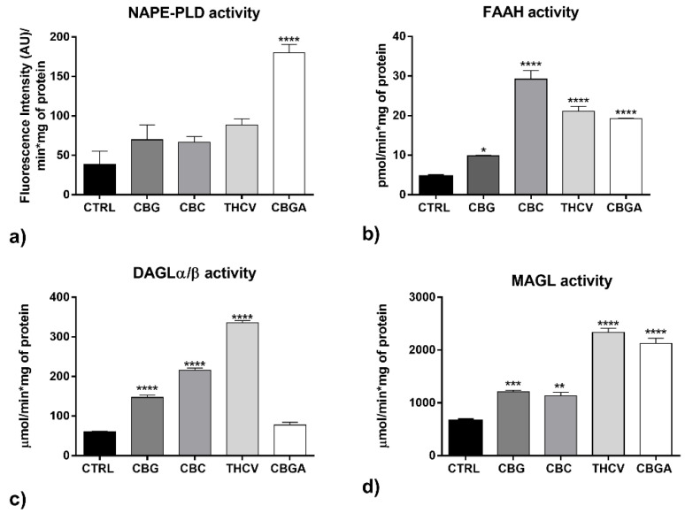 Activity of eCB metabolic enzymes: (a) NAPE-PLD, (b) FAAH, (c) DAGLα/β and (d) MAGL following 24 h of treatment with half-IC50 amounts of CBG, CBC, THCV and CBGA. Data are the means ± SEM of three independent experiments (n = 3). Statistical analysis was performed using a one-way ANOVA test, followed by the Bonferroni post hoc test (* p < 0.05, ** p < 0.01, *** p < 0.001 and **** p < 0.0001 vs. control).