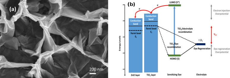 (a) SEM images of ZnO NWs after the deposition of the TiO2 layer by sputtering. (b) Energy level diagram of a ZnO/TiO2 DSSC.