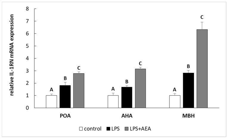 The effect of intravenous (i.v.) anandamide (AEA) injection (10 µg/kg; i.v.) and lipopolysaccharide (LPS)-induced inflammation (400 ng/mg; i.v.) on the relative interleukin 1 antagonist (IL-1RN) mRNA level in preoptic area (POA), anterior hypothalamus (AHA), and medial basal hypothalamus (MBH) normalized to the mean expression of three reference genes (GAPDH, HDAC1, ACTB—see Table 2). All data are presented as the mean value ± S.E.M. Different letters indicate significant (p < 0.05) differences according to a one-way ANOVA followed by Fisher’s least significance test.