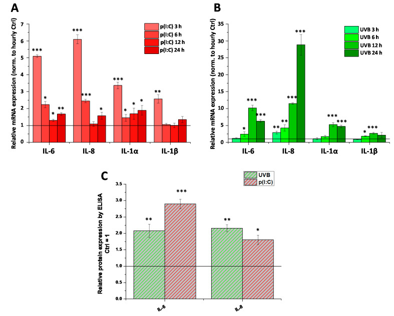 Inflammation can be induced in human corneal epithelial cells by both TLR3 activation and UVB irradiation: (A,B) Q-PCR of IL-6, IL-8, IL-1α, and IL-1β mRNA from cultured human corneal epithelial cells. Expression was determined following 3, 6, 12, 24 h after p(I:C) treatment (A) and 3, 6, 12, 24 and 48 h after UVB irradiation (40 mJ/cm2) (B). Data are presented using the ΔΔCT method compared to 18SRNA (A) and PPIA (B), normalized to the expression of the vehicle-treated control (shown as a continuous line at 1). Data are expressed as mean ± SD of 2–3 determinations. One additional experiment yielded similar results. *, **, *** mark significant changes compared to the time-matched control group (p < 0.05, 0.01, 0.001, respectively), as indicated. (C) ELISA determination of IL-6 and IL-8 in the supernatant of human corneal epithelial cells following 3 h p(I:C) and 12 h after UVB irradiation. Data are expressed as mean ± SD of three determinations. One additional experiment yielded similar results. *, **, *** mark significant (p < 0.05, 0.01, 0.001, respectively) changes compared to the vehicle control as 1 (solid line).