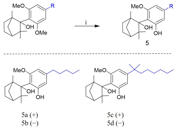 Synthesis of 2-(2′-hydroxy-6′-methoxy-4′-alkylphenyl)-1,3,3-trimethylbicyclo[2.2.1] heptan-2-ol (5a–5d) a. a Reagents and conditions: (i) Sodium ethanethiolate and anhydrous DMF.