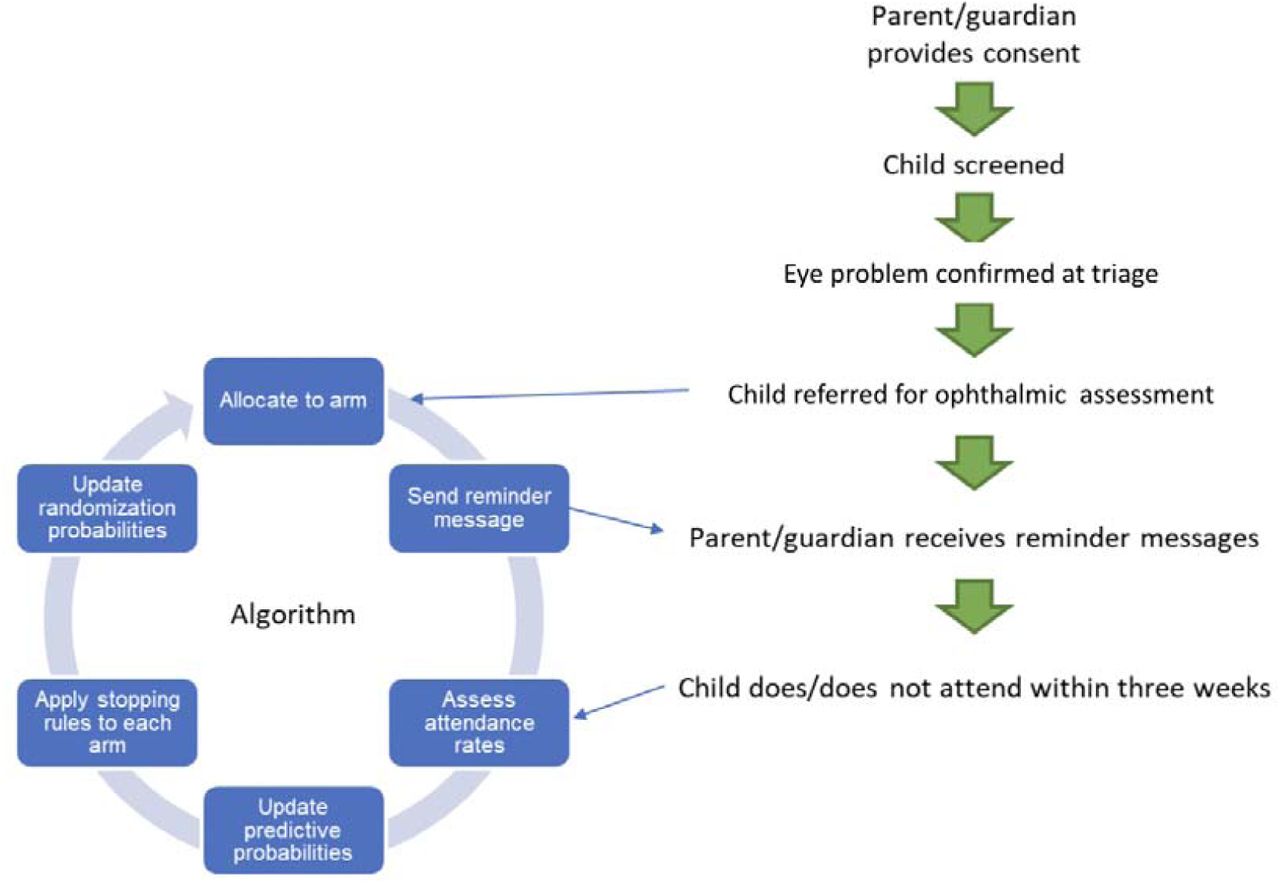 Interaction between patient flow and the adaptive trial algorithm