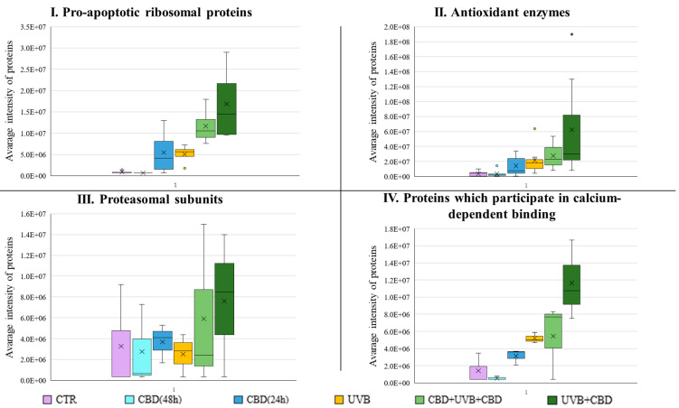 The box plots generated using the average intensities of the proteins in the specified protein groups: (I) Pro-apoptotic ribosomal proteins: ribosomal proteins S3, S19, L13a, L7a; (II) Antioxidant enzymes: aldo-keto reductase family 1 member A1, B1, B10, C3, carbonyl reductase [NADPH] 1, NAD(P)H dehydrogenase [quinone] 1, peroxiredoxin-1; (III) Proteasomal subunits: proteasome subunit alpha type-3, beta type-2, beta type-5; and (IV) Proteins that participate in calcium-dependent binding: EF-hand domain family-member D2, protein S100 and S100-A6. [CTR—control cells cultured with standard medium (n = 3); CBD(48 h)—cells cultured in medium containing CBD(4 µM) for 48 h (n = 3); CBD(24 h) – cells cultured in medium containing CBD(4 µM) for 24 h (n = 3); UVB—cells irradiated with UVB (312 nm) at 60 mJ/cm2 (n = 3); CBD+UVB+CBD—cells cultured in medium containing CBD(4 µM) for 24 h before and after UVB irradiation (n = 3); UVB+CBD—cells cultured in medium containing CBD(4 µM) for 24 h after UVB irradiation (n = 3)].