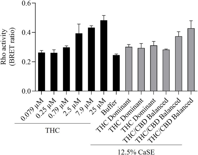 CaSE promotes Rho activation in CB1 expressing cells. HEK293 cells expressing CB1 along with PKN-RBD-RLucII and rGFP-CAAX were stimulated with indicated concentrations of Δ9-THC in buffer or 8-fold diluted CaSE (15 µl in total 120 µl assay volume, 12.5% CaSE) from Δ9-THC dominant and THC/CBD balanced strains prepared in media with 30% MeOH. There was an increase in CB1 activation in a concentration-dependent manner by Δ9-THC. There was an increase in the activation of CB1 in cells treated with CaSE from THC dominant or THC/CBD balanced cannabis. Buffer was 8-fold dilution of 30% MeOH/DMEM with Tyrode’s buffer. Data represent means ± SD of triplicate (THC) and duplicate (CaSE) of a representative experiment. Similar results were obtained with 20 µl or 10 µl application of CaSE.