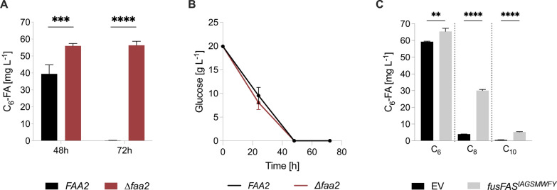 FAA2 knockout prevents degradation of reverse β-oxidation pathway-derived hexanoic acid in S. cerevisiae. A Effect of FAA2 deletion on hexanoic acid degradation after 48 h and 72 h in rBOX pathway strain. B Effect of FAA2 deletion on glucose consumption in rBOX pathway strain. C MCFA output after 96 h following expression of fusFASIAGSMWFY in the ∆faa2 rBOX strain (yrBOX1). C6-FA—hexanoic acid; fusFAS—fused fatty acid synthase; rBOX—reverse β-oxidation. Data represent mean ± s.d.; n = 3 biologically independent samples. Statistical analysis was performed using the two-tailed unpaired t-test. p > 0.05 = ns (not significant); p < 0.05 = *; p < 0.01 = **; p < 0.001 = ***; p < 0.0001 = ****