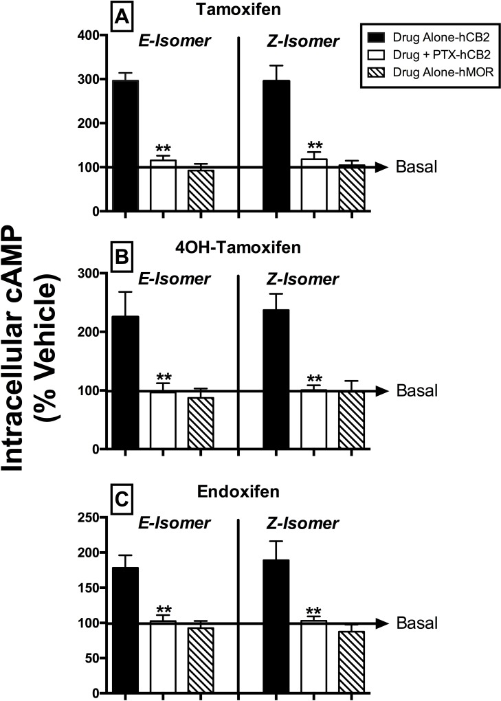 SERM isomers modulate forskolin-stimulated AC activation via Gi/o proteins and CB2Rs.[A-C] Modulation of forskolin-stimulated cAMP production by SERMs (10 μM) in intact CHO-hCB2 and CHO-hMOR cells was evaluated. Drugs were examined in CHO-hCB2 cells (+/- 100 ng PTX pretreatment) and in CHO-hMOR cells not expressing CBRs. Intracellular cAMP values (mean ± SEM) are presented as percent response compared to levels observed in the presence of vehicle. Statistics revealed that no drug altered basal cAMP levels in CHO-hCB2 cells treated with PTX (P<0.01; student’s t-test) or in CHO-hMOR cells (P<0.01; one-sample t-test).