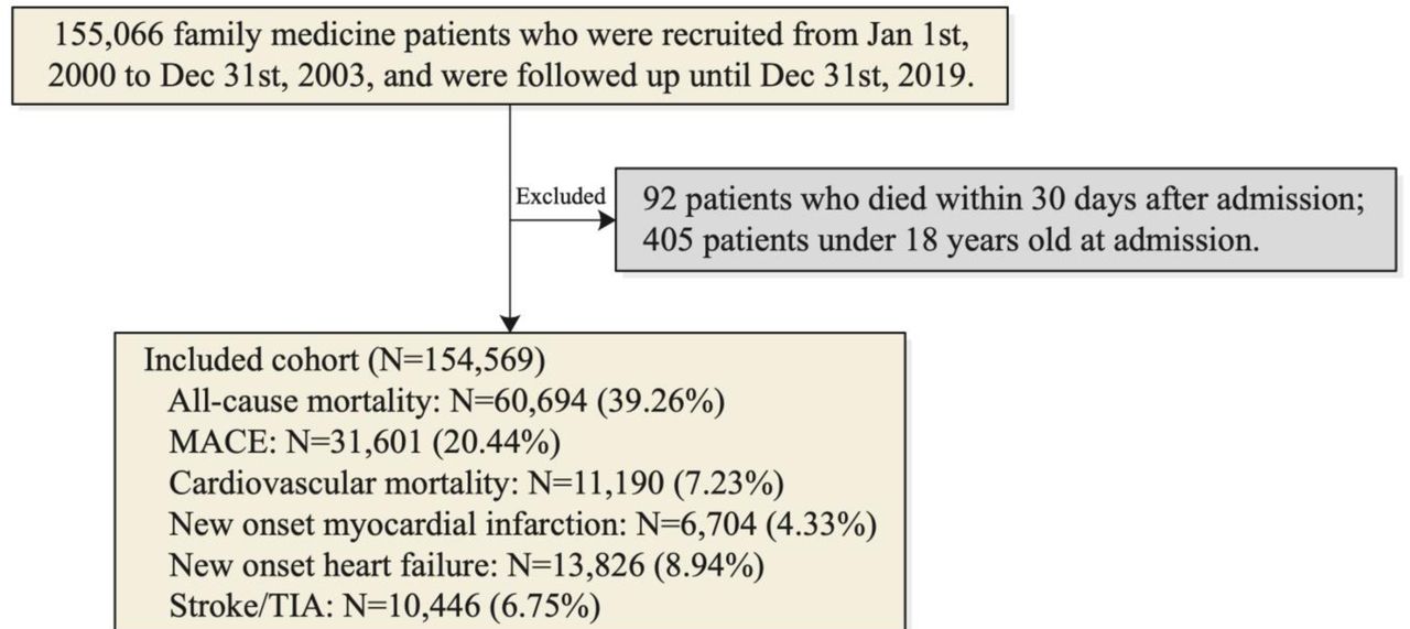 Procedures of data processing.MACE: Major adverse cardiovascular events; TIA: transient ischemic attack.