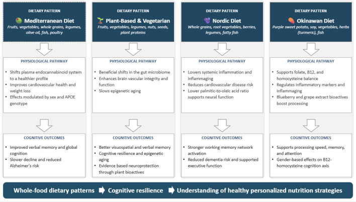 Comparison chart illustrating four dietary patterns: Mediterranean Diet, Plant-Based and Vegetarian, Nordic Diet, and Okinawan Diet. Each column details dietary components, physiological pathways, and cognitive outcomes. All diets emphasize whole foods, beneficial physiological changes, and support various aspects of cognitive function. A blue banner at the bottom summarizes the message: whole-food dietary patterns enhance cognitive resilience and support personalized nutrition strategies.