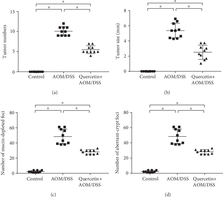 Quercetin reduces tumor incidence in AOM/DSS-treated mice. (a) Number of colon tumors in the control (n = 10), AOM/DSS-treated (n = 10), and quercetin+AOM/DSS cotreated (n = 10) groups. (b) Size of colon tumors in the control (n = 10), AOM/DSS-treated (n = 10), and quercetin+AOM/DSS cotreated (n = 10) groups. (c) Quantification of mucin-depleted foci in control and experimental mice. (d) Quantification of aberrant crypt foci in control and experimental mice. Data are expressed as mean values ± SD (n = 10/group). ∗P < 0.05, Student's t-test.