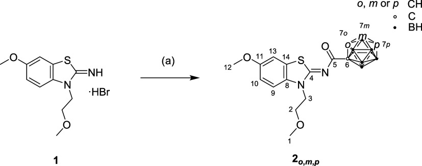 Synthesis of Target Compounds 2 o , 2 m , 2 p a Reagents and conditions: (a) (i) dry CH3CN, reflux; (ii) respective 1-C­(O)­Cl-C2B10H11 (A o,m,p ), 1 h 45 min – 2 h 30 min; (iii) (dry) NEt3, reflux, 20 h 30 min – 24 h (in a closed vessel).