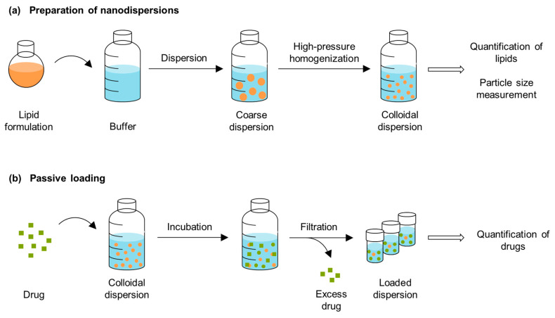 Schematic overview of (a) the preparation of the nanodispersions and (b) the passive loading procedure.