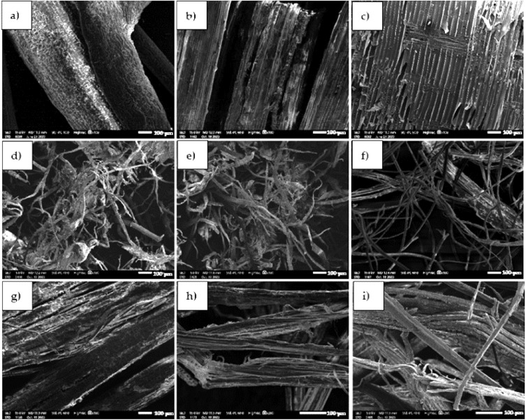 Microscopic images of fibers: (a) coconut fiber, (b) hay, (c) wood shavings, (d) PRO AGRO cellulose, (e) VestaEco CELL cellulose, (f) flax-hemp fiber, (g) hemp fiber 1, (h) hemp fiber 2, (i) hemp fiber 3.