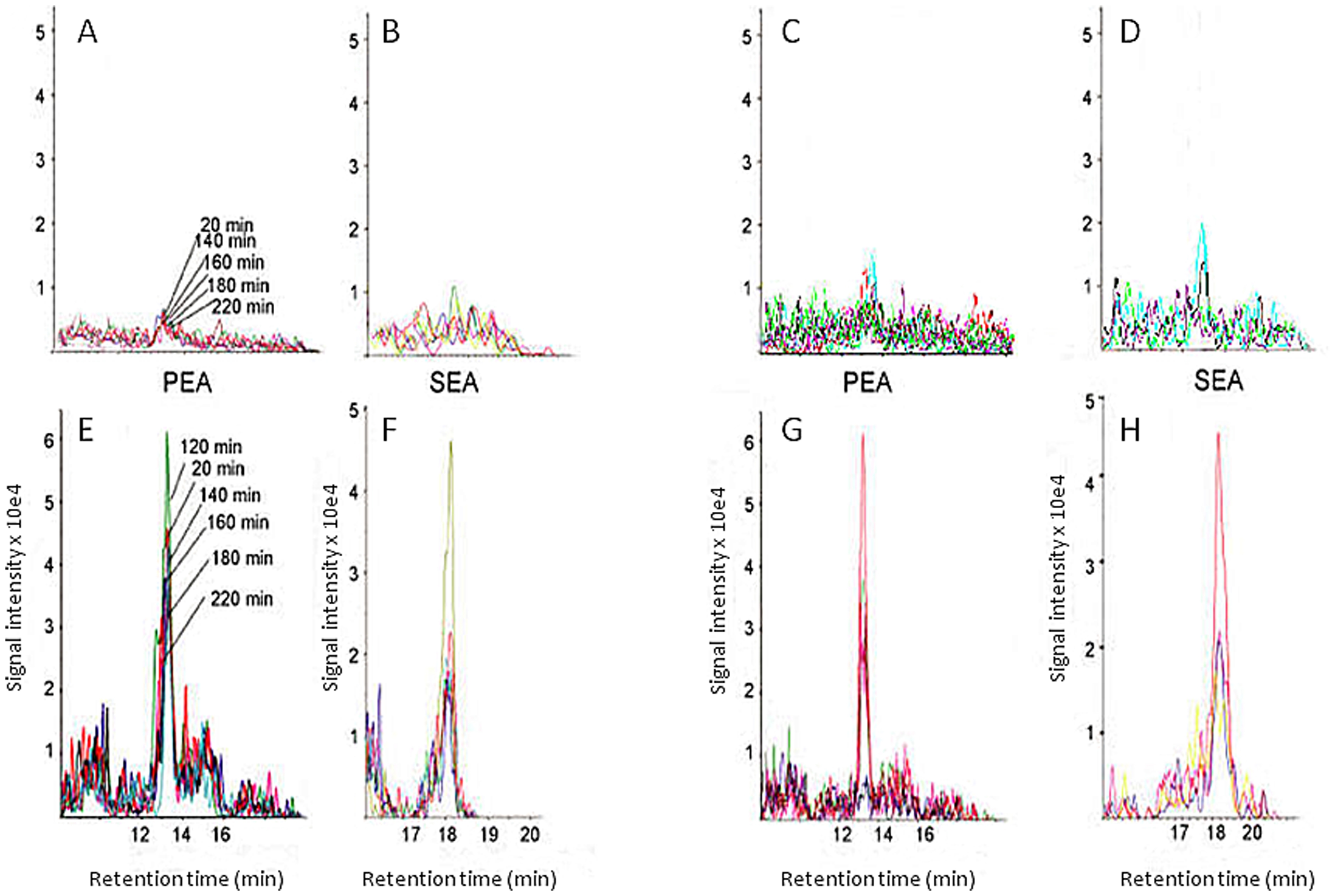 Examples of PEA and SEA chromatograms from dialysates from two controls (Panels A–D) and two cases with trapezius myalgia (Panels E–H).The analyses are shown in adjacent panels (i.e. A–B, C–D, E–F and G–H) for each subject.