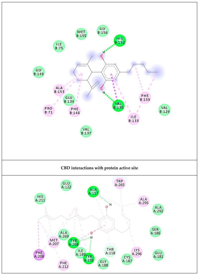 Interactions of the docked compounds, CBD and CBG. The 2D orientations of both docked compounds are shown. The putative interactions with neurokinin 3 receptor (NK3R) are shown with different colors.