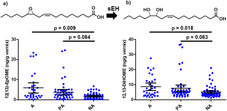 Structures and phenotypic differences in levels of (a) 12(13)-epoxy-9Z-octadecenoic acid (12[13]-EpOME) and (b) 12,13-dihydroxy-9Z-octadecenoic acid (12,13-DiHOME) according to lifestyle (A = anthroposophic; P = partly anthroposophic; NA = non- anthroposophic).The 12(13)-EpOME is converted to the 12,13-DiHOME via activity of the enzyme soluble epoxide hydrolase (sEH). Bonferroni corrected p-values corresponding to the linear regression of lifestyle of the mother adjusted for gestational period and gender of the baby are presented. Each point represents an individual. The arithmetic mean with 95% confidence intervals is presented.