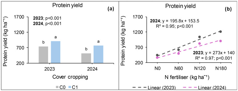 Two charts compare protein yield in different conditions. Chart (a) is a bar graph showing protein yield for 2023 and 2024 under cover cropping treatments (C0, C1); C1 yields are higher. Chart (b) is a line graph showing the relationship between nitrogen fertilizer levels (N0, N60, N120, N180) and protein yield for 2023 and 2024, with linear trends indicating higher yield in 2023. Both charts show statistical significance with p-values less than 0.001.