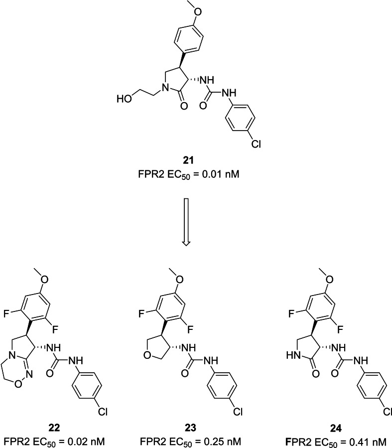 Patented phenylurea derivatives with FPR2 agonist activity.