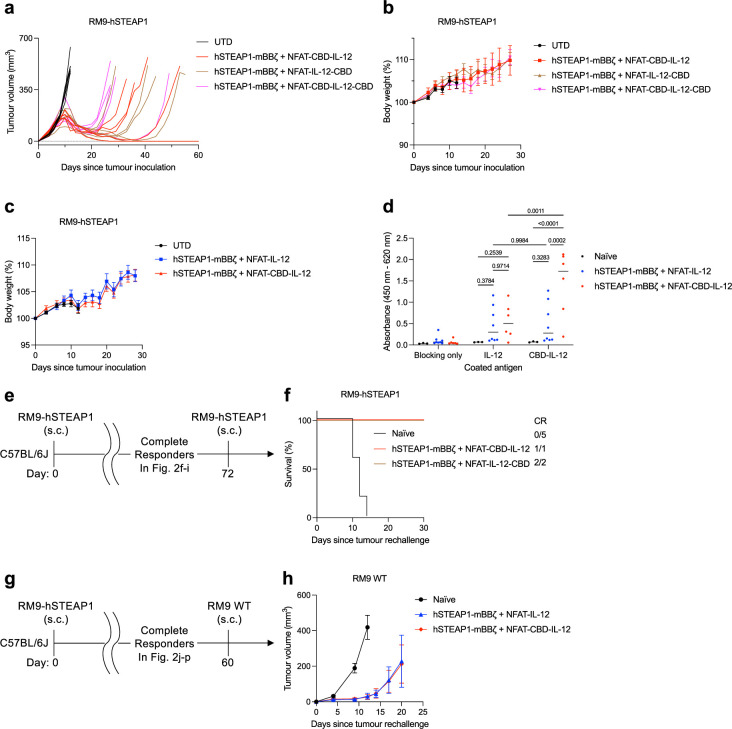 Additional in vivo data, related to Fig. 2.a) Individual tumour growth curves in Fig. 2g. (b, c) Body weight changes normalized to the body weights on day 0, related to (b) Fig. 2f–i and (c) Fig. 2j–m (mean ± s.e.m.). (d) Plasma samples were collected from survivors in Fig. 2j–m on day 35. Plasma IgG reactive to IL-12 and CBD-IL-12 was detected by ELISA (mean). (e, f) (e) Experimental timeline and (f) survival curves for RM9-hSTEAP1 rechallenge using complete responders in Fig. 2f–i. (g, h) (g) Experimental timeline and (h) average tumour volumes for RM9 WT rechallenge using complete responders in Fig. 2j–p. (d) Statistical analysis was performed using (d) two-way ANOVA followed by Šídák’s multiple comparisons. P values are shown in figures. Source data