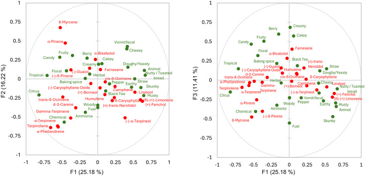 Multi-factor analysis of sensory attributes and terpene chemistry in Cannabis.