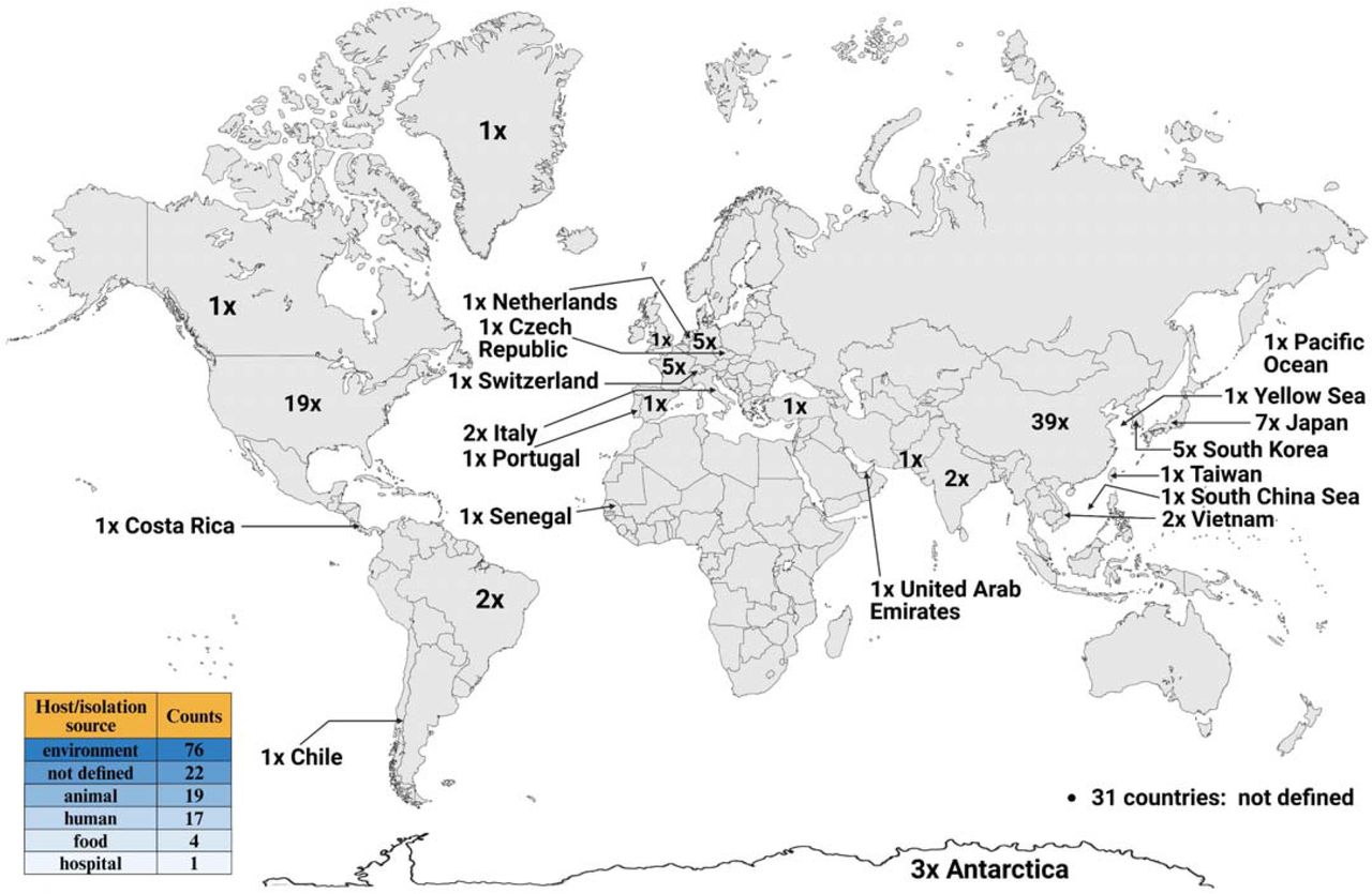 Global distribution of potential beta-lactamases in different regions and hosts. Created in BioRender.com.