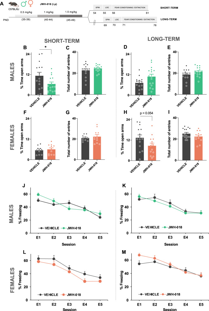 JWH-018 exposure during adolescence alters anxiety-like behavior, but not fear extinction, depending on the sex and the time interval between treatment and behavioral analysis.A Schematic representation of the experimental design. B–M Effects of adolescent exposure to JWH-018 (PND 35–39: 0.5 mg/kg, PND 40–44: 1 mg/kg, and PND 45–49: 1.5 mg/kg) or vehicle in anxiety-like behavior in the EPM B–I and fear conditioning and extinction J–M in male mice at short- B, C, J and long-term D, E, K, and female mice at short- F, G, L and long-term H, I, M (n = 10–16 mice per group). Percentage of time spent in the open arm and total number of entries are shown for the EPM. Time course of the freezing levels scored during cued fear extinction trials is shown for fear memory processing. Data are expressed as mean ± SEM. *p < 0.05 (comparison between JWH-018 and vehicle; Student’s t-test). PND postnatal day, EPM elevated plus maze, E1-E5 extinction trials.
