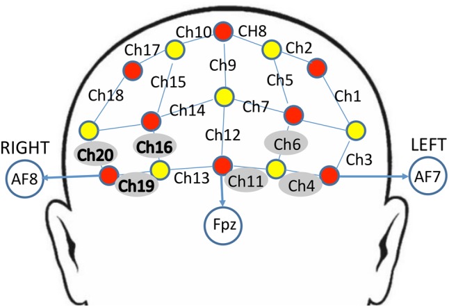 Schematic arrangement of the near-infrared spectroscopy (NIRS) probe array (front view). The NIRS probe was comprised of eight sources (red) and seven detectors (yellow) placed on the PFC of each participant. The mid-column of the probe was placed over Fpz, with the lowest probes located along the AF7-Fp1-Fpz-Fp2-AF8 line, in accordance with the International 10–20 Placement System. The distance between pairs of source and detector probes was set at 3 cm. The midpoint of the source-detector distance was defined as channel (Ch) location, labeled numerically (1–20) in the above schematic. Channels surrounded by gray circles indicate those that showed trend-level effects of dronabinol in the current study; bolded channels on the right (Ch 16, Ch 19, and Ch 20) showed a significant effect of dronabinol after multiple comparisons corrections.