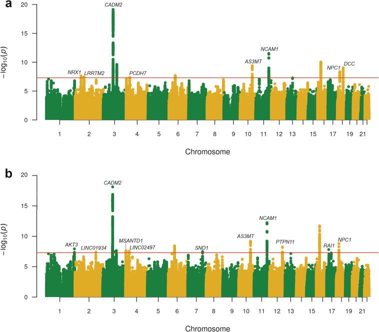 GWAS results.a AoU, ICC and UKBB European population GWAS meta-analysis of CanLU; b Cross-ancestry meta-analysis of CanLU (including EUR meta-analysis, AFR, and AMR, EAS and SAS subjects from AoU). Significant SNPs located within or nearby coding genes are annotated.
