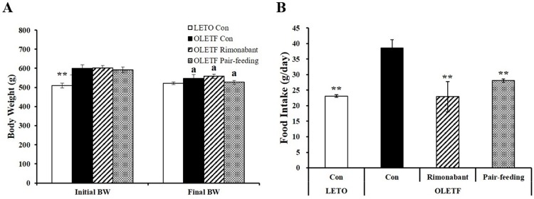 Effects of CB1 receptor antagonist, rimonabant on body weight gain (A) and food intake (B). LETO or OLETF rats were administrated either PBS or rimonabant (10 mg/kg/day) for 6 weeks. The pair-fed OLETF rats were given the same amount of food as their counterpart rimonabant-treated OLETF rats had consumed over the previous day. Data are expressed as mean ± SEM (n = 4–5 per group). ** P < 0.01 compared to OLETF control rats (OLETF con). a P < 0.05 compared to initial body weight.