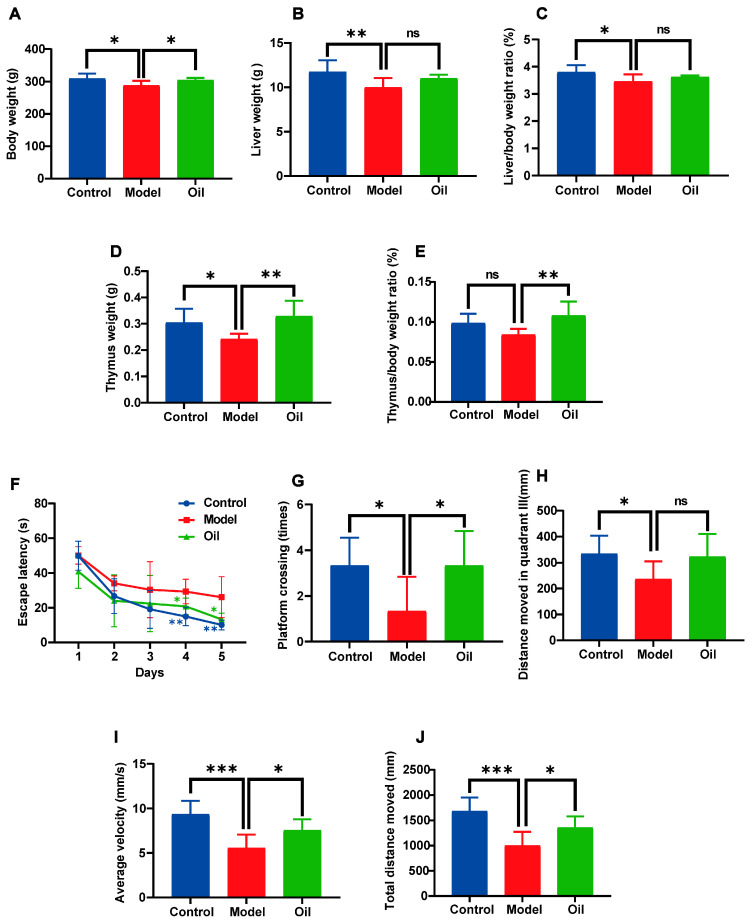 Characteristics of D-galactose-induced aging in rats with or without hemp seed oil treatment for 7 weeks. (A) Body weight. (B) Liver weight. (C) Liver/body weight ratio. (D) Thymus weight. (E) Thymus/body weight ratio. (F) Escape latency. (G) The number of platform crossings in 60 s. (H) Distance moved in quadrant III. (I) Average velocity. (J) Total distance moved. Values are presented as mean ± standard deviation (SD), n = 6 per group. Differences were assessed by one-way analysis of variance (ANOVA) followed by Tukey’s post hoc test. Compared with the model group, * p < 0.05, ** p < 0.01, *** p < 0.001, ns: not significant.