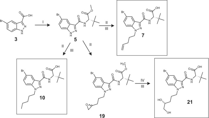 Synthetic route of reference material 7, 10 and 21. I: L‐tert‐leucine methyl ester hydrochloride (4), 2‐(1H‐Benzotriazole‐1‐yl)‐1,1,3,3‐tetramethylaminium tetrafluoroborate (TBTU), acetonitrile/dimethylformamide (ACN/DMF), TEA, 60°C ➔ rt, 23 h. II: 5‐Bromopent‐1‐ene (1), 2‐(3‐bromopropyl)oxirane (2) or 1‐Bromopentane (8), potassium carbonate (K2CO3), DMF, rt 21 h. III: 1 M aq. NaOH, rt, 3–21 h. IV: Triflic acid, THF, 120°C, 40 min. (numbering according to Supporting Information).