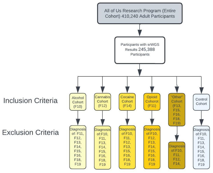Study workflow and cohort definition for evaluating the frequency of genetic variants of the TDO2, IDO1/2 and KMO in substance use disorder.