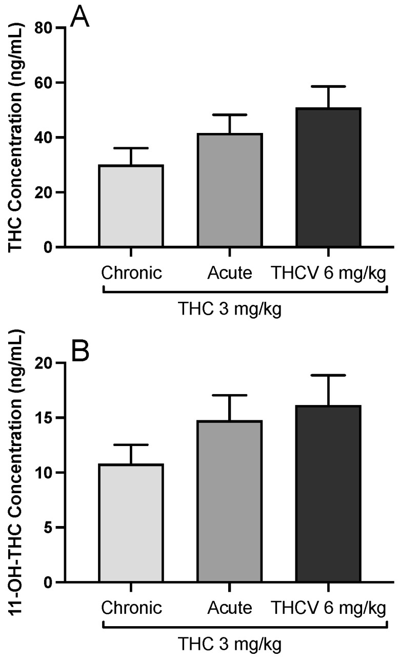 The blood levels of ∆-9-tetrahydrocannabinol (THC, (A)) and its active metabolite 11-OH-THC (B) in the rats during the trainings (chronic), after a single dose of 3 mg/kg THC (acute), and after a combination treatment of THC (3 mg/kg) and ∆-9-tetrahydrocannabivarin (THCV, 6 mg/kg).