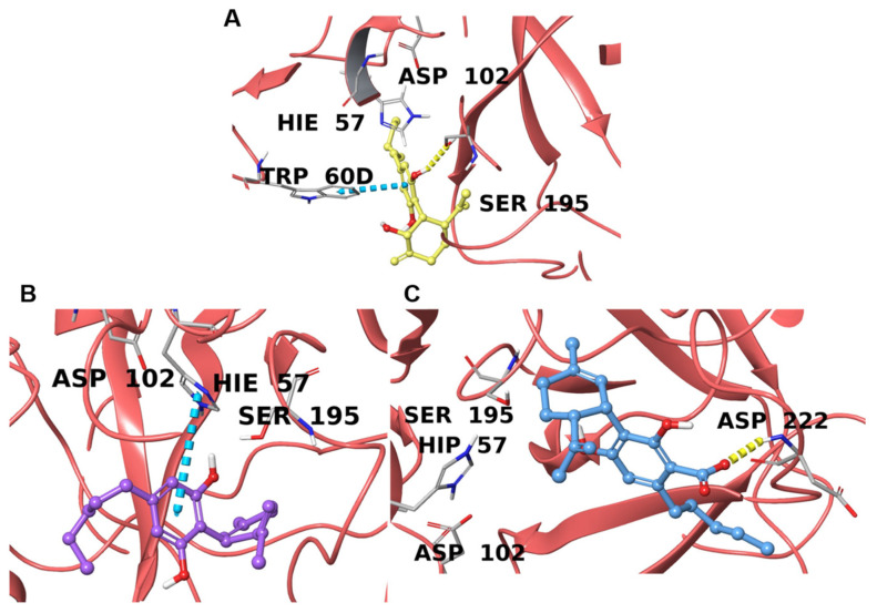 Binding poses of 1 (A), 2 (B), and 3 (C) in the catalytic domain of thrombin (PDBs 6ZUX, 6ZV8, and 1RD3, respectively) are represented with red ribbons. The hydrogen bonds are depicted as yellow dotted lines and π-π stacking interactions as cyan dotted lines. Interacting residues and catalytic triad amino acids are labeled.