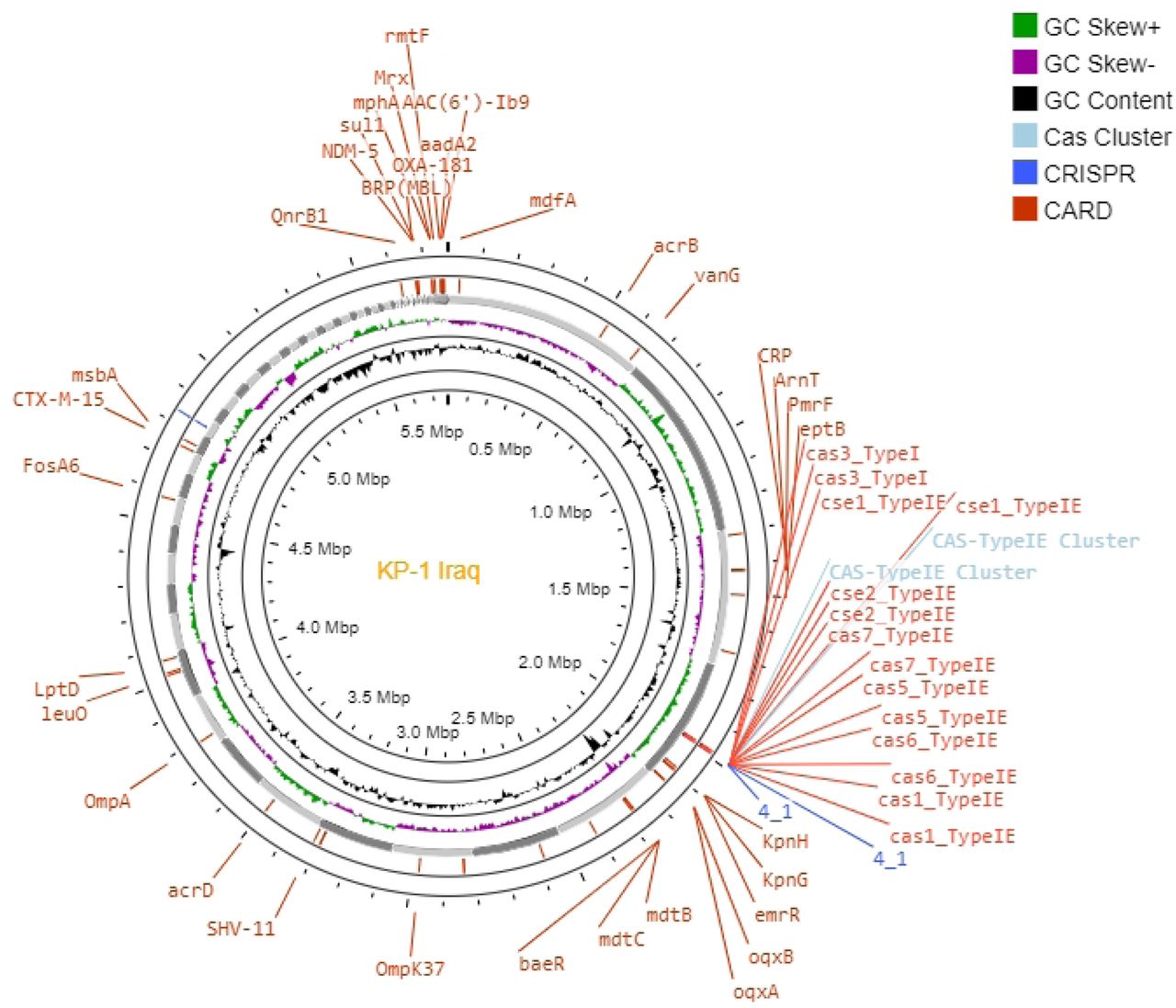 (a and b): Antibiogram, AMR genes and circular genome mapping of clinical isolates of K. pneumoniae 1 (KP-1) in part a and K. pneumoniae 2 (KP-2) in part b.