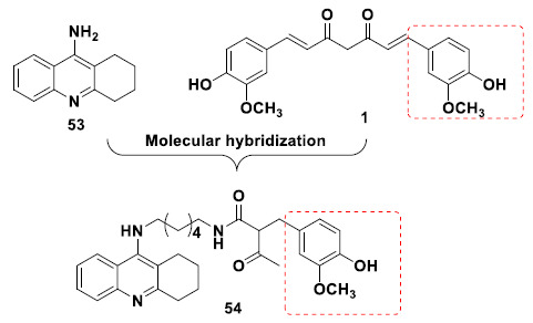 Molecular hybridization of tacrine and curcumin fragments to generate the neuroprotective hybrid compound 54.