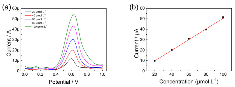 (a) The DPV of p-L-serine/CuO/CPE in different concentrations of olivetol (pH 8.0); (b) Plot of peak current versus concentration of olivetol.