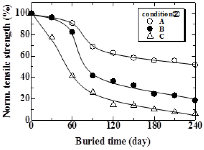 Relationship between normalized tensile strength and burial period under Condition 2.