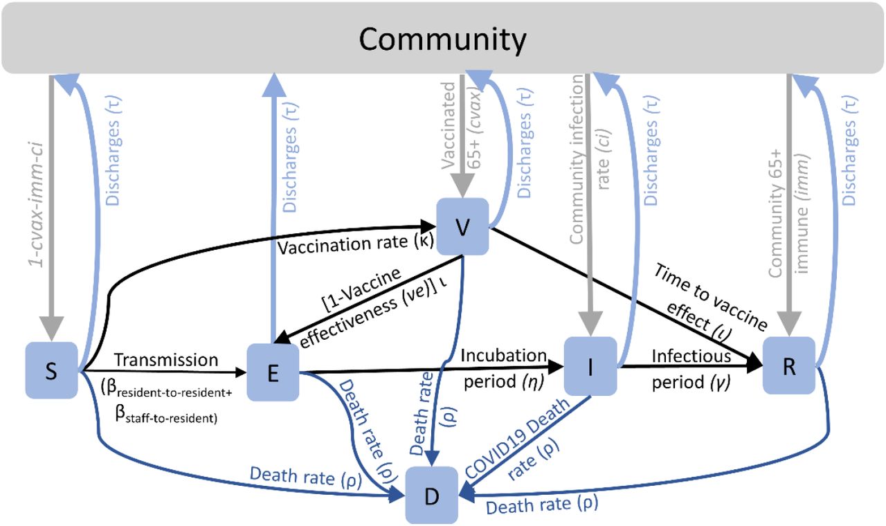 Schematic of the movement of residents between compartments of the susceptible (S), exposed (E), infectious (I), vaccinated (V), immune (R), and deaths (D).