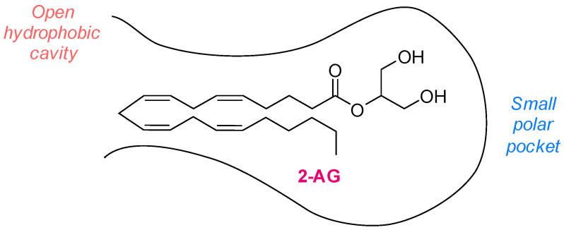 Two-dimensional representation of the MAGL active pocket.