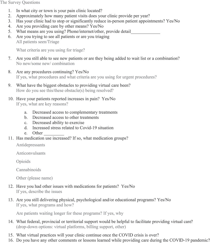 The survey questions