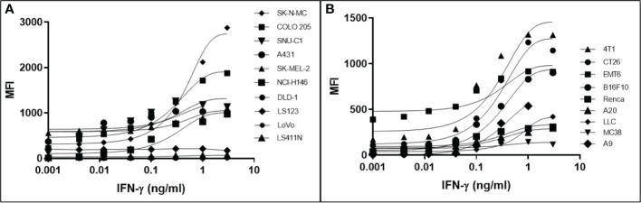 Downregulation of MHC-I expression is reversible by in most human (A) and mouse (B) cancer cell lines. The MHC-1-low or -null cell lines were treated with a titration of human (A) or mouse (B) IFN-γ for 48 hr, washed, and MHC-I expression determined by flow cytometry. The pan-human HLA antibody, W6/32, was used to stain the human cell lines, and mouse cell lines were stained with the MHC-I allotype-specific 34-1-2S (4T1, CT26, EMT6, Renca, A20) or 28-8-6 (B16-410, LLC, MC38, A9) antibodies.