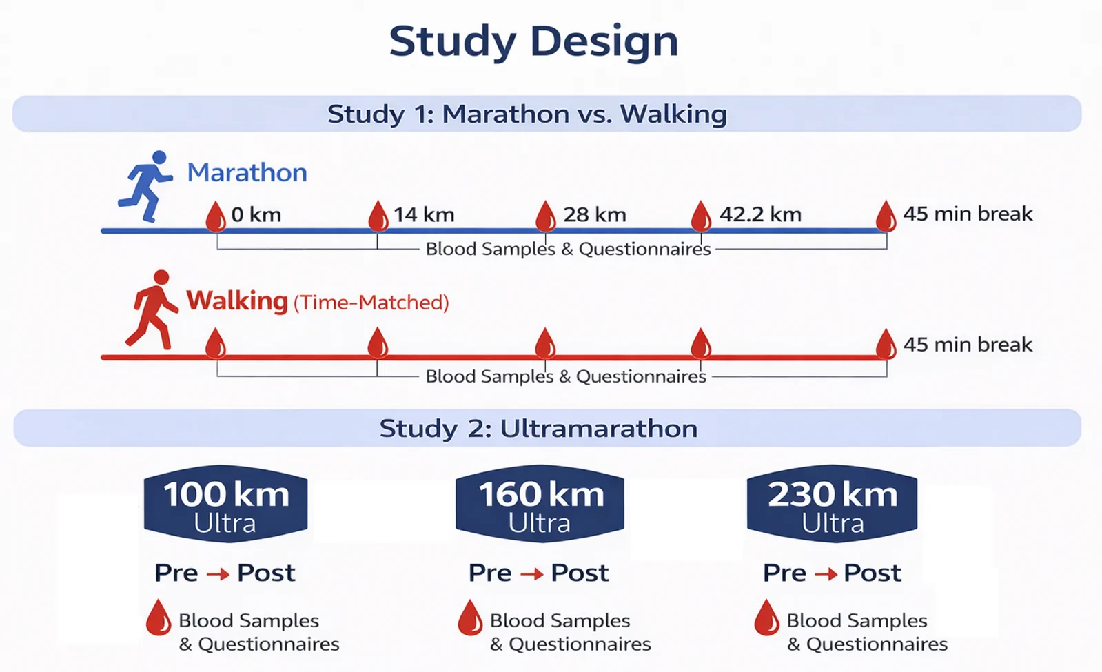 Study design and timing of assessments in the marathon and ultramarathon investigations. Study 1 (Marathon vs. Walking): Participants completed a marathon running condition (blue) and a time-matched walking condition (red). Blood samples and questionnaires were collected at baseline (0 km), after 14 km, 28 km, and at the end of the marathon (≈ 42.94 km), as well as after a standardized 45-minute recovery break. Walking sessions were strictly time-matched to the individual marathon duration, with assessments performed at identical time points. Study 2 (Ultramarathon): Ultramarathon runners completed races of 100 km, 160 km, or 230 km. Blood samples and questionnaires were obtained before (Pre) and after (Post) completion of each distance