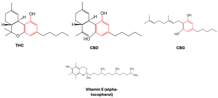 Chemical structure of pCBs reported. The phenolic group is highlighted in red. As a comparison, the structure of a traditional antioxidant, vitamin E (alpha-tocopherol), is also shown.