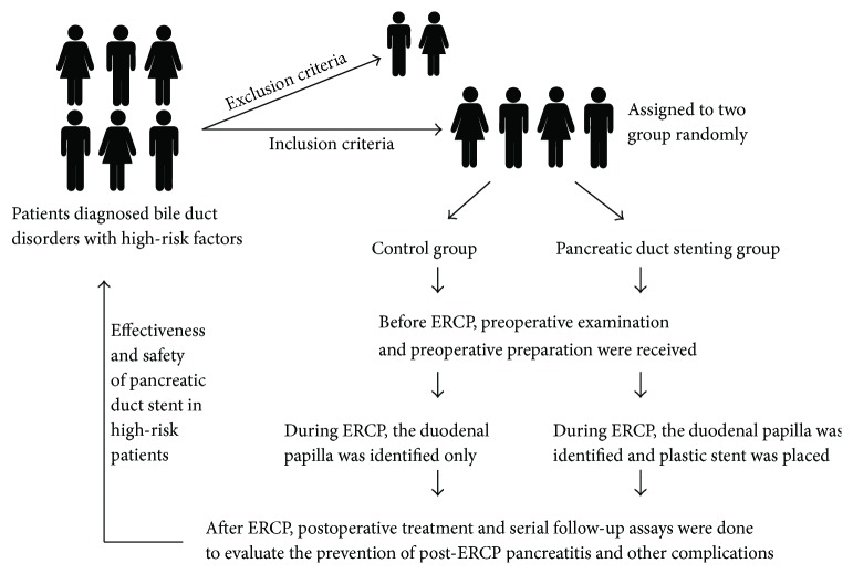 Patient assignment flowchart.