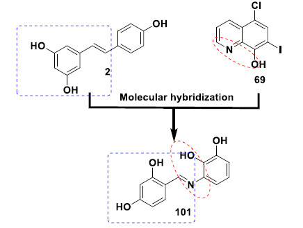 Design strategy for resveratrol-based imine derivative 101 with improved metal-chelating, antioxidant and neuroprotective effects.