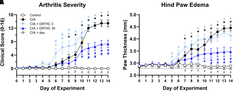 Δ8-THC attenuates CIA-induced effects on paw morphology. Mice subjected to CIA and treated twice daily with Δ8-THC (30 mg/kg) for two weeks have significantly lower (A) clinical arthritis scores and (B) less hind paw swelling than vehicle-treated arthritic controls. Data are expressed as mean ± SEM (n = 9-10). *P < 0.05 versus (non-CIA) control, #P < 0.05 versus CIA.